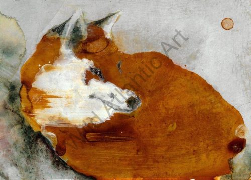 Red Fox at Rest