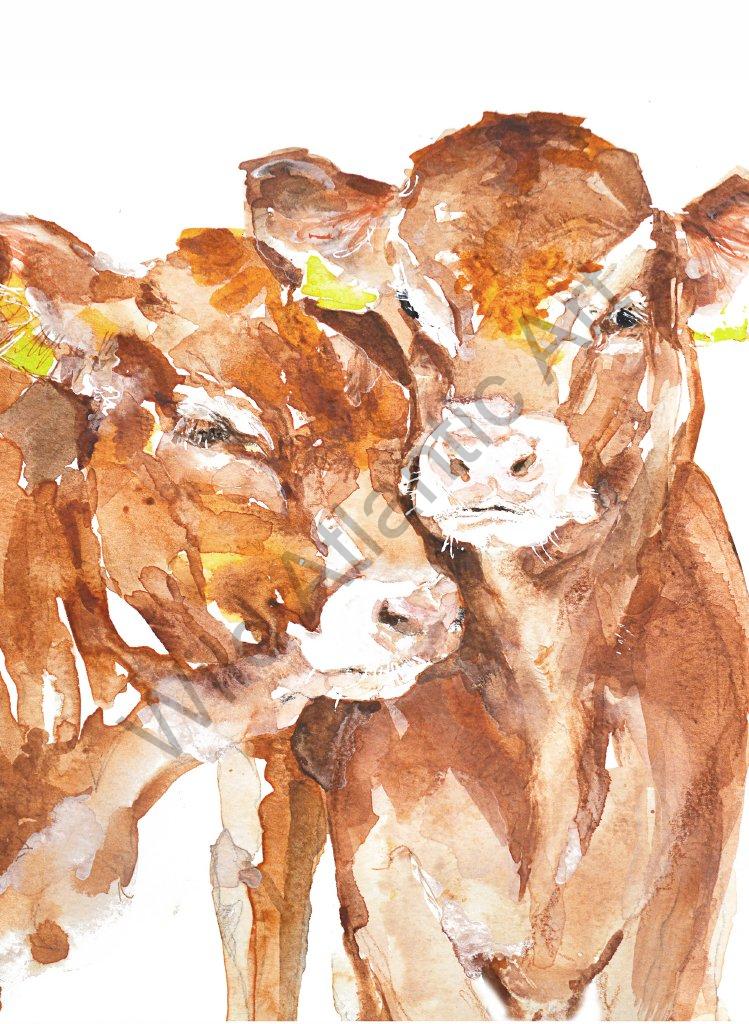 Moo Cara