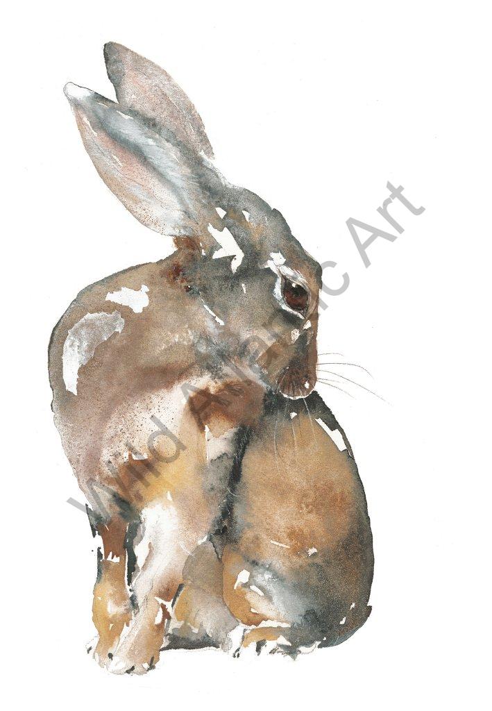 The Healing Hare