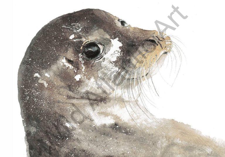 The Atlantic Seal