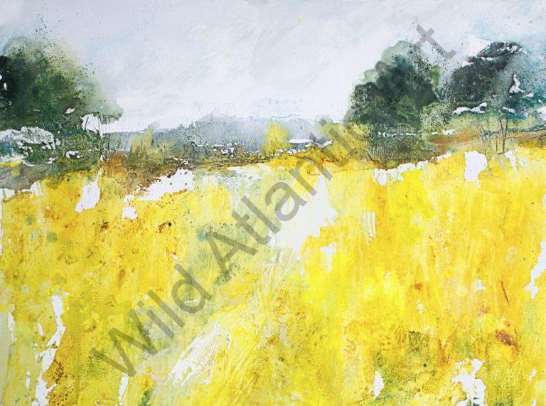 Fields of Gold