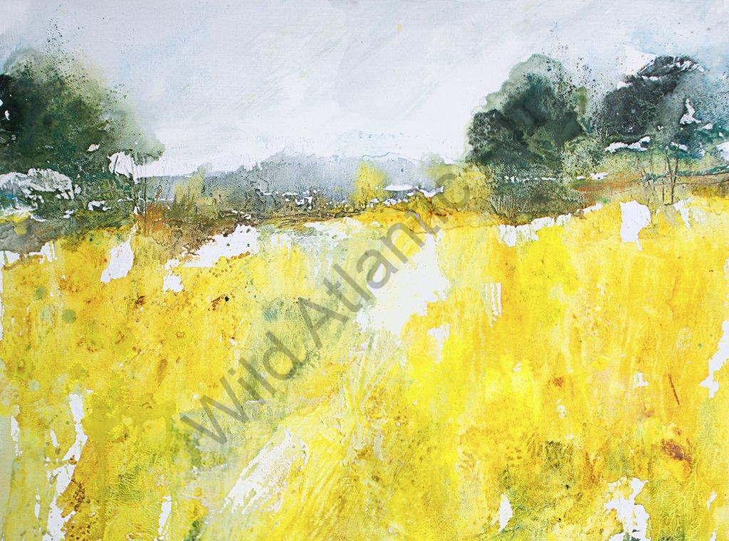 Fields of Gold