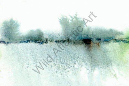 Meadow Morning, Sligo